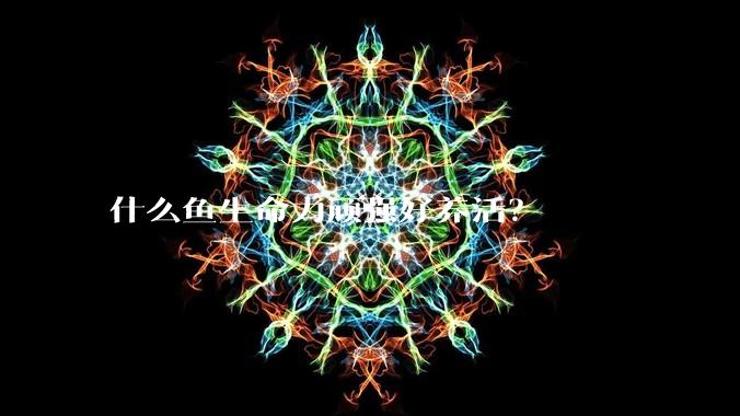 什么鱼生命力顽强好养活？