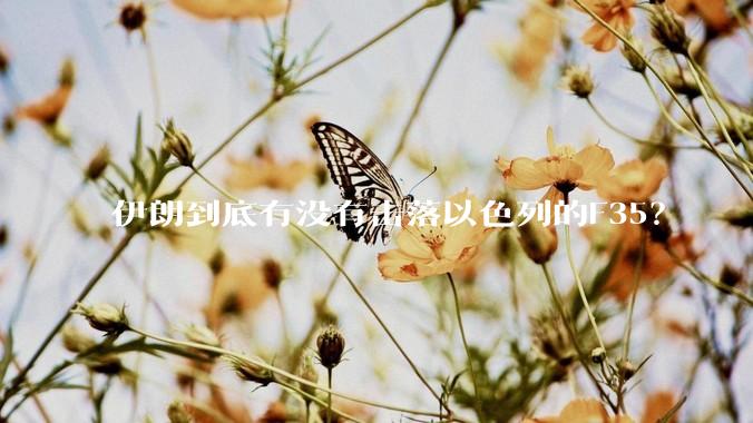 伊朗到底有没有击落以色列的F35？